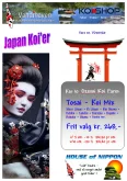 japanske koi karper kar 10 Tosai mix 268 kr/stk