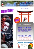 japanske koi karper kar 12 tosai mix 648 kr/stk