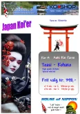 japanske koi karper kar 14 tosai Kohako 398 kr/stk