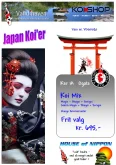 Japanske Koi Karper kar 1A koi mix 695kr/stk