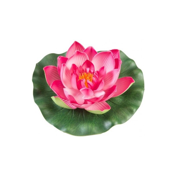 Lotus Foam Pink 20 cm