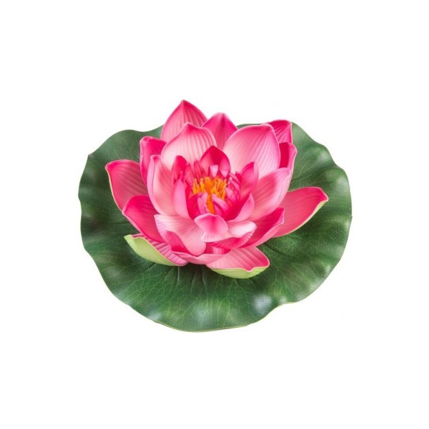 Lotus Foam