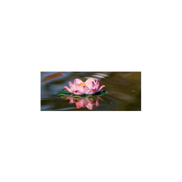 kande deco rosa