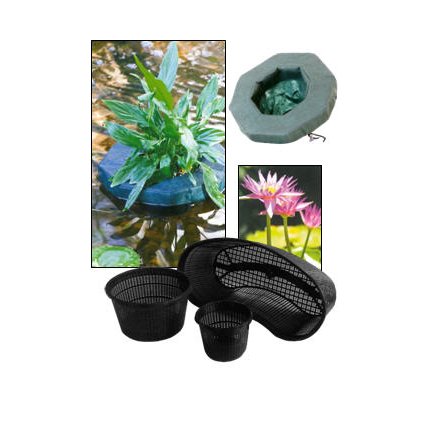 Vandplanter & Tilbehør