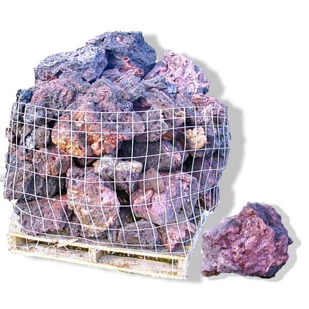Islandsk Lava 15 >  50 cm pris pr. kg