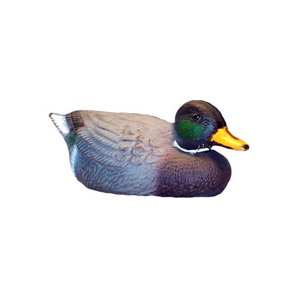 Marsh andrik           21 cm
