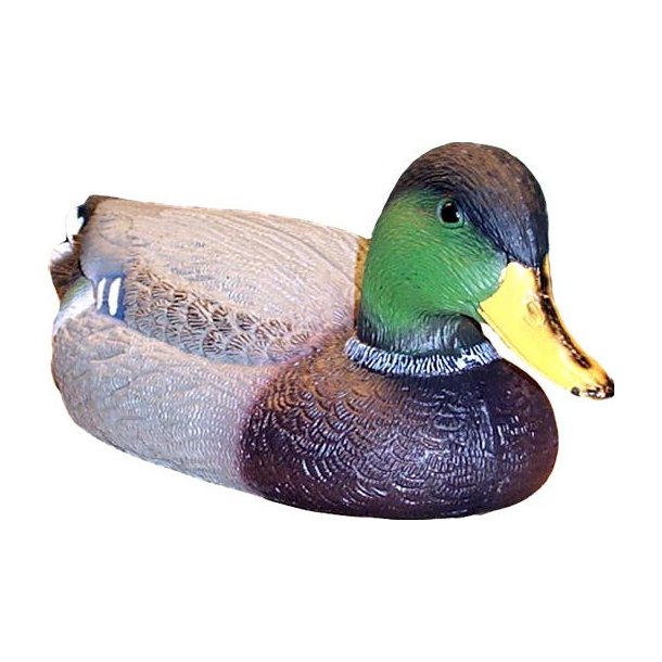 Vildand                     38 cm