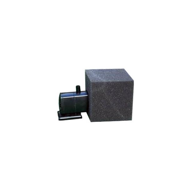 Forfilter svamp