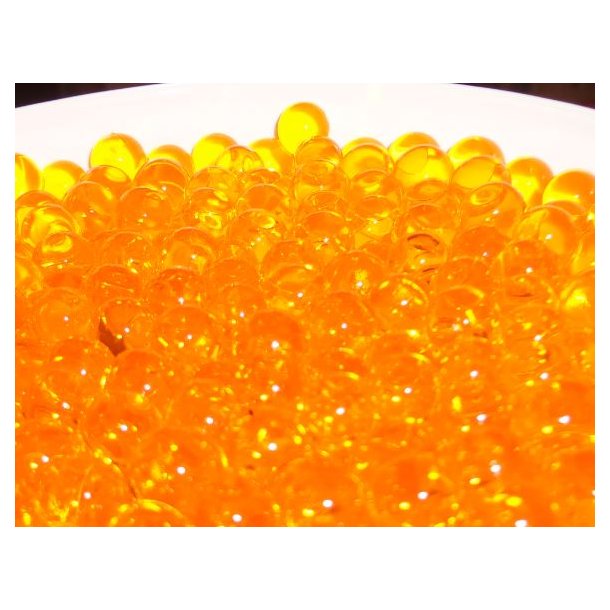 Bacto Pearls filterbakterier Pond Support Bacto Pearls 2,5 liter