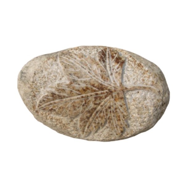Granit pyntesten med Ahorn blad