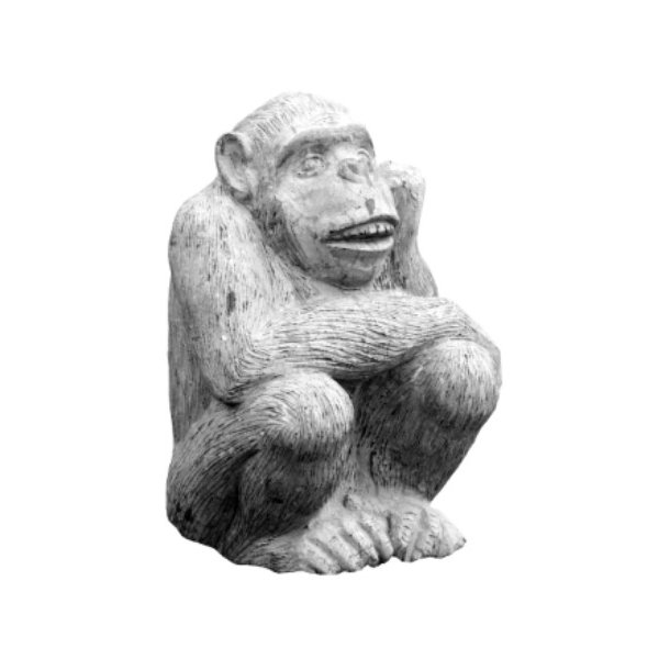 Chimpanse i marmor/skiffer - 50 cm - til udstilling og legepladser Chimpanse H 50 cm