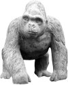 Gorilla Silverback     H30 cm