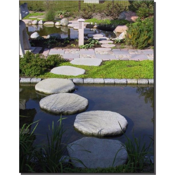 Japanske trdesten - Sandsten   40-45 cm. Rd