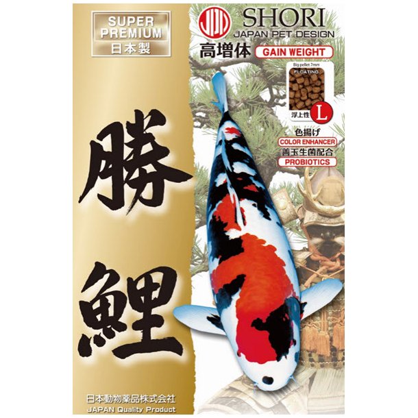 JPD Shori Gain Weight